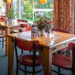 Secrets Behind Restaurants Ideal for Quick Meals | Quick Bites Guide