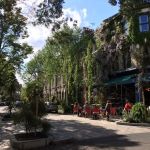 What Makes a Place Feel Like Your “Regular Spot” in Everyday Life